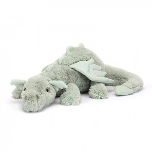 HUGE Jellycat Personalised Sage Dragon 19 CM X 66 CM | YP0764315