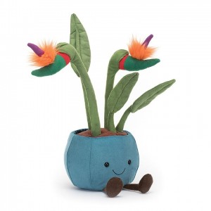 Jellycat Amuseable Bird of Paradise 38 CM X 17 CM | KM1384920