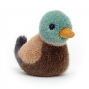 Jellycat Birdling Mallard 10 CM X 7 CM | HX9361245
