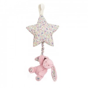 Jellycat Blossom Tulip Bunny Star Musical Pull 28 CM X 19 CM | OE7896510