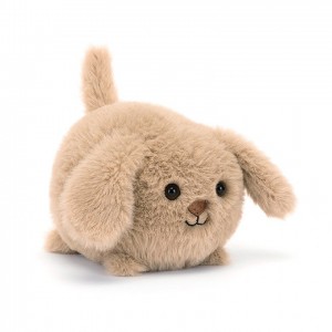 Jellycat Caboodle Puppy 10 CM X 11 CM | FG7906348
