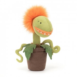 Jellycat Carniflore Tammie 29 CM X 8 CM | IS9371682