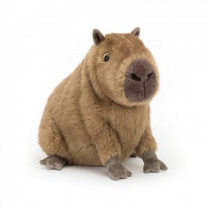 Jellycat Clyde Capybara 21 CM X 24 CM | AG4987650