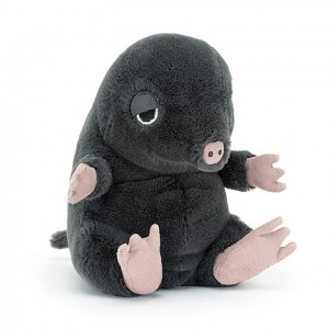 Jellycat Cuddlebud Morgan Mole 16 CM X 10 CM | EJ7639524