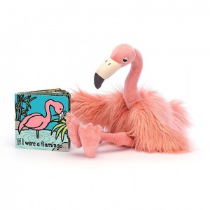 Jellycat If I Were A Flamingo Book and Rosario Flamingo | OI9136042