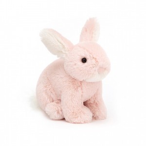 Jellycat Minilop Rose Bunny 10 CM X 7 CM | CP1470285
