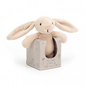 Jellycat My Friend Bunny Rattle 12 CM X 5 CM | CD5671903