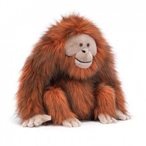 Jellycat Oswald Orangutan 34 CM X 30 CM | NC9106485