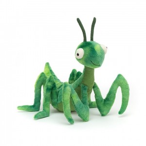 Jellycat Penny Praying Mantis 22 CM X 20 CM | YU5690873