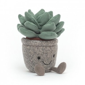 Jellycat Silly Succulent Azulita 16 CM X 7 CM | NM0638715