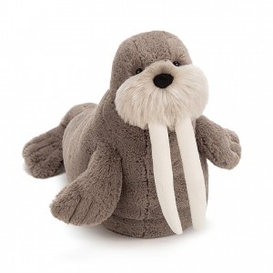 LARGE Jellycat Willie Walrus 30 CM X 40 CM | AG9586247