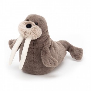 LITTLE Jellycat Willie Walrus 19 CM X 23 CM | RN6971035