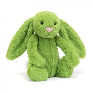 MEDIUM Jellycat Bashful Apple Bunny 31 CM X 12 CM | LM6890253