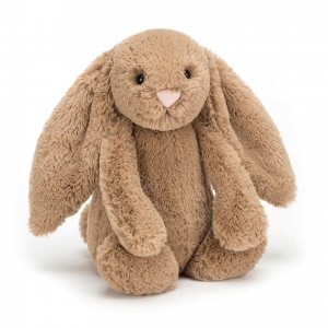 MEDIUM Jellycat Bashful Biscuit Bunny 31 CM X 12 CM | IZ5102386