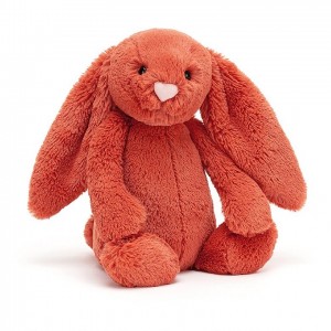 MEDIUM Jellycat Bashful Cinnamon Bunny 31 CM X 12 CM | DW5813467