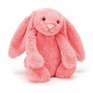 MEDIUM Jellycat Bashful Coral Bunny 31 CM X 12 CM | QC4061385