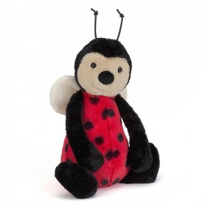 MEDIUM Jellycat Bashful Ladybug 31 CM | CB9310847