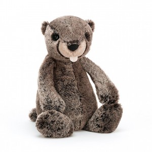 MEDIUM Jellycat Bashful Marmot 31 CM X 12 CM | PJ5489230