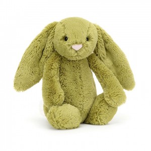 MEDIUM Jellycat Bashful Moss Bunny 31 CM X 12 CM | DP9610745