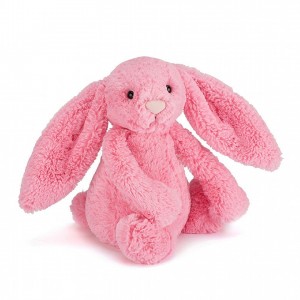 MEDIUM Jellycat Bashful Sorbet Bunny 31 CM X 12 CM | AR6542917