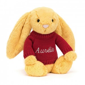 MEDIUM Jellycat Bashful Sunshine Bunny with Personalised Red Jumper 31 CM X 12 CM | HG9318652