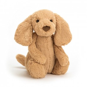 MEDIUM Jellycat Bashful Toffee Puppy 31 CM X 12 CM | HU9027831