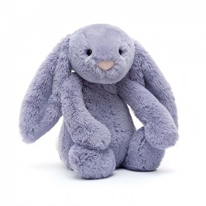 MEDIUM Jellycat Bashful Viola Bunny 31 CM X 12 CM | SD3097412