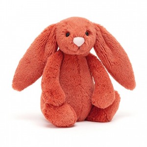SMALL Jellycat Bashful Cinnamon Bunny 18 CM X 9 CM | FY2938610