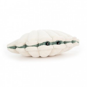 SMALL Jellycat Chloe Clam 13 CM X 20 CM | RC2914805