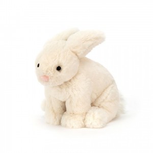 SMALL Jellycat Riley Rabbit Cream 16 CM X 11 CM | NB2019584