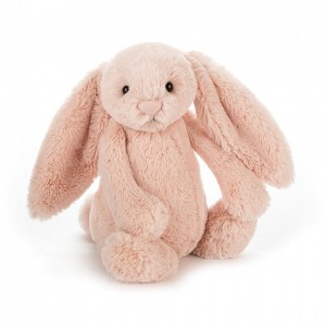 TINY Jellycat Bashful Blush Bunny 13 CM X 6 CM | NT1958632