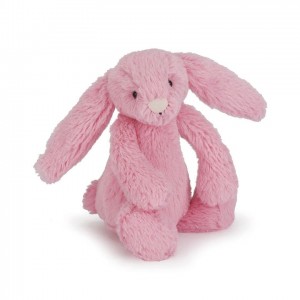 TINY Jellycat Bashful Sorbet Bunny 13 CM X 6 CM | DX5609123