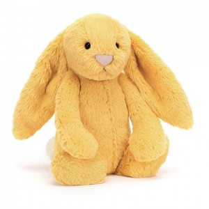 TINY Jellycat Bashful Sunshine Bunny 13 CM X 6 CM | EY3705849