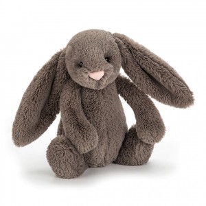 TINY Jellycat Bashful Truffle Bunny 13 CM X 6 CM | BY4607935